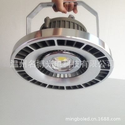 【LED投光灯 LED工厂灯 工矿产品 20W-120W 整体配件批发 质保3年】价格,厂家,图片,其他LED灯具,温州名博光电科技-